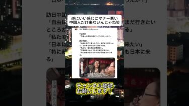 ほんまありがとうやで#ニュース #日本政治 #日本 #海外の反応 #自民党 #衝撃の事実 #高市早苗 #経済 #小野田紀美 #twitter