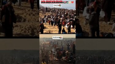 🇸🇩Sudan Civil War | 🇵🇸Gaza War Update  #sudan #gaza #youtubeshorts