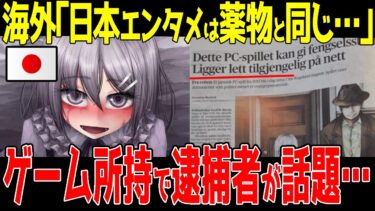 【海外の反応】エンタメ規制…日本のゲーム所持で懲役に!!同人ゲーム『奴◯との生活』所持でノルウェー人懲役３年!!