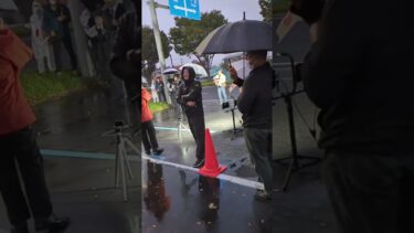 10/26移民政策反対デモ茨城にしばき隊乱入！