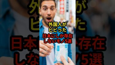【海外の反応】外国人がビビった！日本にしか存在しないモノ5選！