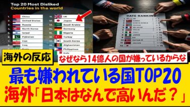 最も嫌われている国TOP20　海外「日本はなんでこんなに高いんだ？」【海外の反応】