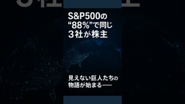 世界を動かす見えない巨人たち｜S&P500の88%を支配するBlackRock・Vanguard・State Streetの真実