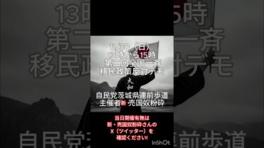茨城よ立ち上がれ！移民政策反対デモ！