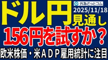 ドル/円、円安止まらず156円がターゲットに…ADP雇用統計・欧米株価動向に注目（今夜のFX予想）2025/11/18 #外為ドキッ