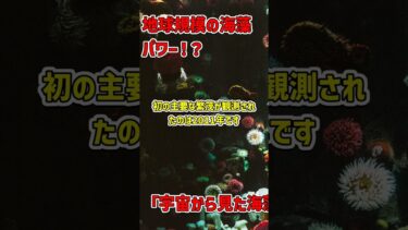 驚異のサルガッソムベルト：地球を変える巨大海藻 #海藻 #環境問題 #地球の未来