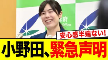 【悲報】 小野田紀美が国会でブチギレ！！日本だけ安全保障ガバガバ！→事務局「ノーチェックでした」