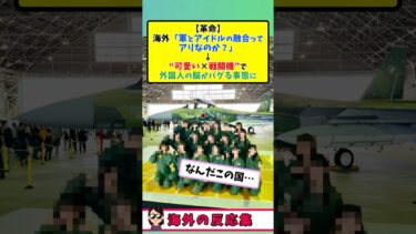 日本の“戦闘機ライブ”が海外で大バズり #海外の反応 #自衛隊