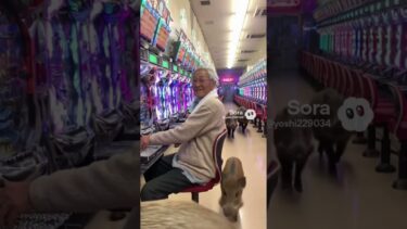 🎰【AIコメディ】パチンコ屋にイノシシ！異常気象の影響？