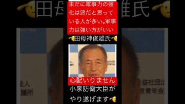 田母神俊雄氏が投稿「未だに軍事力の強化は悪だと思っている人が多い。軍事力は強い方がいい」心配いりません！小泉防衛大臣がやり遂げます🫡