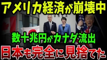 【海外の反応】日本がアメリカを切り捨て、カナダと数十億ドル同盟へ！世界経済が静かに再編中【ゆっくり解説】
