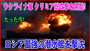 13機のウクライナ無人機がロシア艦隊を壊滅！隻撃破で10億ドル損失…その後の“異常事態”とは！？
