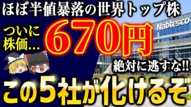【知らないと損】世界トップ企業なのに“数年来安値”!? 今こそ狙いたい厳選5銘柄【ゆっくり解説】