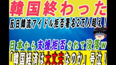 【韓国経済】韓国メディアが日本に捨てられた「韓国経済」は大丈夫なのかと号泣→大丈夫どころか破滅一直線ｗ