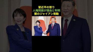 習近平の怒り、人権問題が理由と判明。闇の逆ギレジャイアン発動　#日中問題　#台湾有事