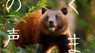 気候変動の影響。