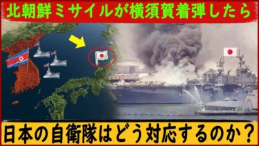 【軍事解説】もしも北朝鮮のミサイルが横須賀に着弾したら！日本の自衛隊はどう対応するのか？AIシミュレーション】