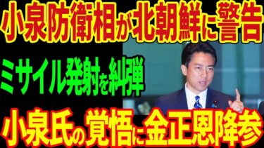 小泉防衛相が北朝鮮に警告！ミサイル発射を糾弾！小泉氏の覚悟に金正恩降参！【海外の反応】
