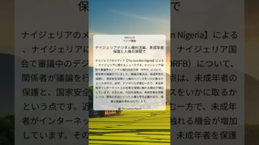 ナイジェリアデジタル権利法案、未成年者保護と人権の狭間で｜The Guardian Nigeria｜2025/11/23｜アジア情勢