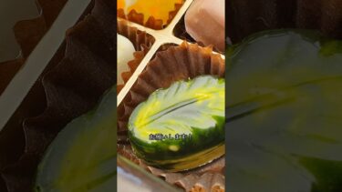 【1分でわかる】11月24日 今日の主要ニュース3選