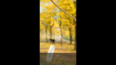 10月の消費者物価指数3.0％上昇、企業動向に影響あり