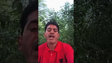 “क्यों बिगड़ रहा है मौसम? | बेमौसम बारिश का राज़ क्या है? | क्लाइमेट चेंज।