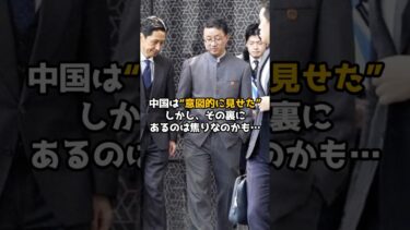 【中国、まさかの“ポケット外交”】その裏に隠れた本音とは #shorts #政治ニュース