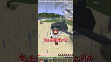 異常気象が起こるマインクラフト⛈️🦈 #マイクラ #マインクラフト