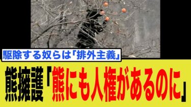 熊擁護派「熊にも人権があるのに！」→77歳女性が襲われた“悲惨な現実”を突きつけられ大炎上