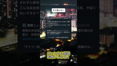 国売りすぎだろ  #ニュース #日本政治 #日本 #海外の反応 #自民党 #衝撃の事実 #高市早苗 #経済 #小野田紀美 #twitter