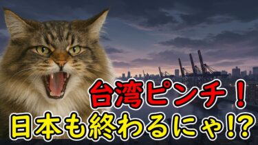 【猫ミーム】台湾有事は日本有事!? 石油も食料も止まるリアルなシナリオを猫が語るにゃ