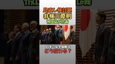 非核三原則“見直し検討”に被団協が抗議。日本の安全保障はどう変わる？#ニュース解説 #政治ニュース #非核三原則 #高市首相 #安全保障