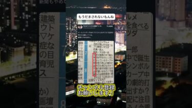 オールドメディアは信じられない #ニュース #日本政治 #日本 #海外の反応 #自民党 #衝撃の事実 #高市早苗 #経済 #小野田紀美 #twitter