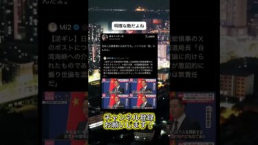 わかりやすい　 #ニュース #日本政治 #日本 #海外の反応 #自民党 #衝撃の事実 #高市早苗 #経済 #小野田紀美 #twitter