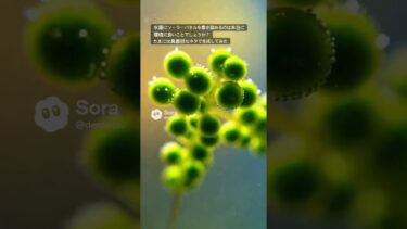 #メガソーラー #ソーラーパネル #環境破壊 #地球温暖化