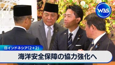 海洋安全保障の協力強化へ　日インドネシア「2+2」【WBS】
