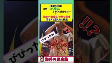【海外の反応】彼岸花＝“死と別れ”と知った外国人が絶句