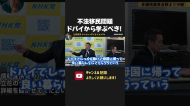 ドバイの要人に会って不法移民問題の意見交換をしました！日本もこれらの政策を見習うべきです！【 NHK党 立花孝志 切り抜き】 不法移民 問題
