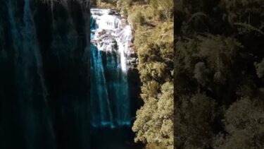 qué se discute en la COP30, por qué importa para México y cómo nos afecta