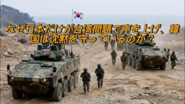 なぜ日本だけが台湾を積極擁護？韓国が沈黙を守る理由と日韓の違いを徹底分析