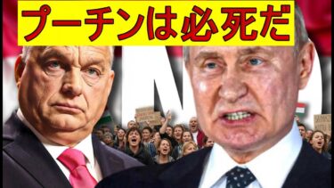 【緊急解説】絶体絶命のプーチン、オルバンに泣きつくも時すでに遅し！！