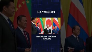 日本外交佈局動向！ #熱點新聞事件 #日本 #國際局勢 #國際局勢分析