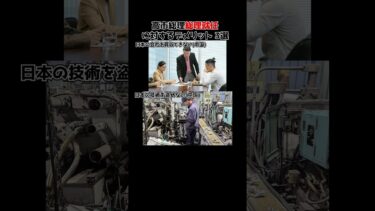高市早苗総理就任に対するデメリット 3選 #中国 #韓国 #日本 #高市早苗 #高市早苗内閣総理大臣 #国際情勢 #政治 #ニュース