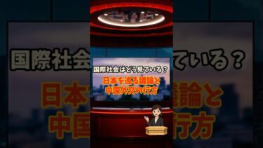 国際社会はどう見ている？ 日本を巡る議論と中国外交の行方 #ニュース #中国外交 #中国 #台湾 #レーダー照射