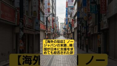 【海外の反応】ノージャパンの末路…韓国が日本に支援を求めても拒否された訳