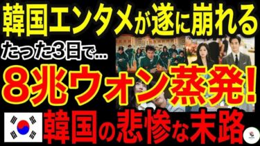 【海外の反応】韓国エンタメが遂に崩壊の淵に！ Netflix撤退で誰も予期せぬ終焉が襲来…韓流の完全終幕ｗｗｗ【海外の反応速報】