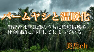 パームヤシと地球温暖化    消費者は無意識のうちに環境破壊や社会問題に加担している。　問題は、無意識であるがゆえに改善行動が起こりにくい点にある。