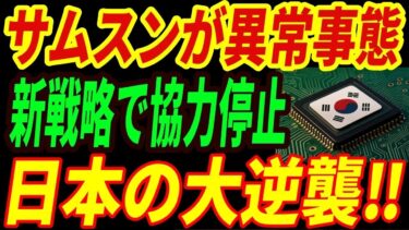 【衝撃】韓国の半導体に異常事態⁉日本の新戦略が直撃！衝撃の2重苦で苦境に陥る韓国の実態とは・・・