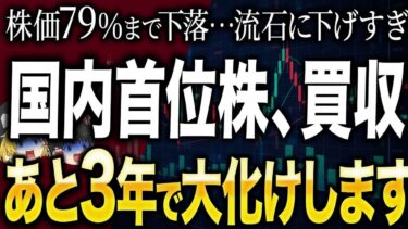 知る人ぞ知る「ニッチ世界No.1株」が超割安！今まさに狙うべき日本トップ銘柄9選説明文