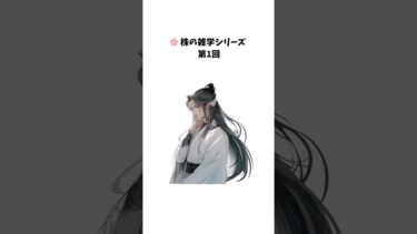 🗝️ 株式市場の裏側を知る雑学 第1回